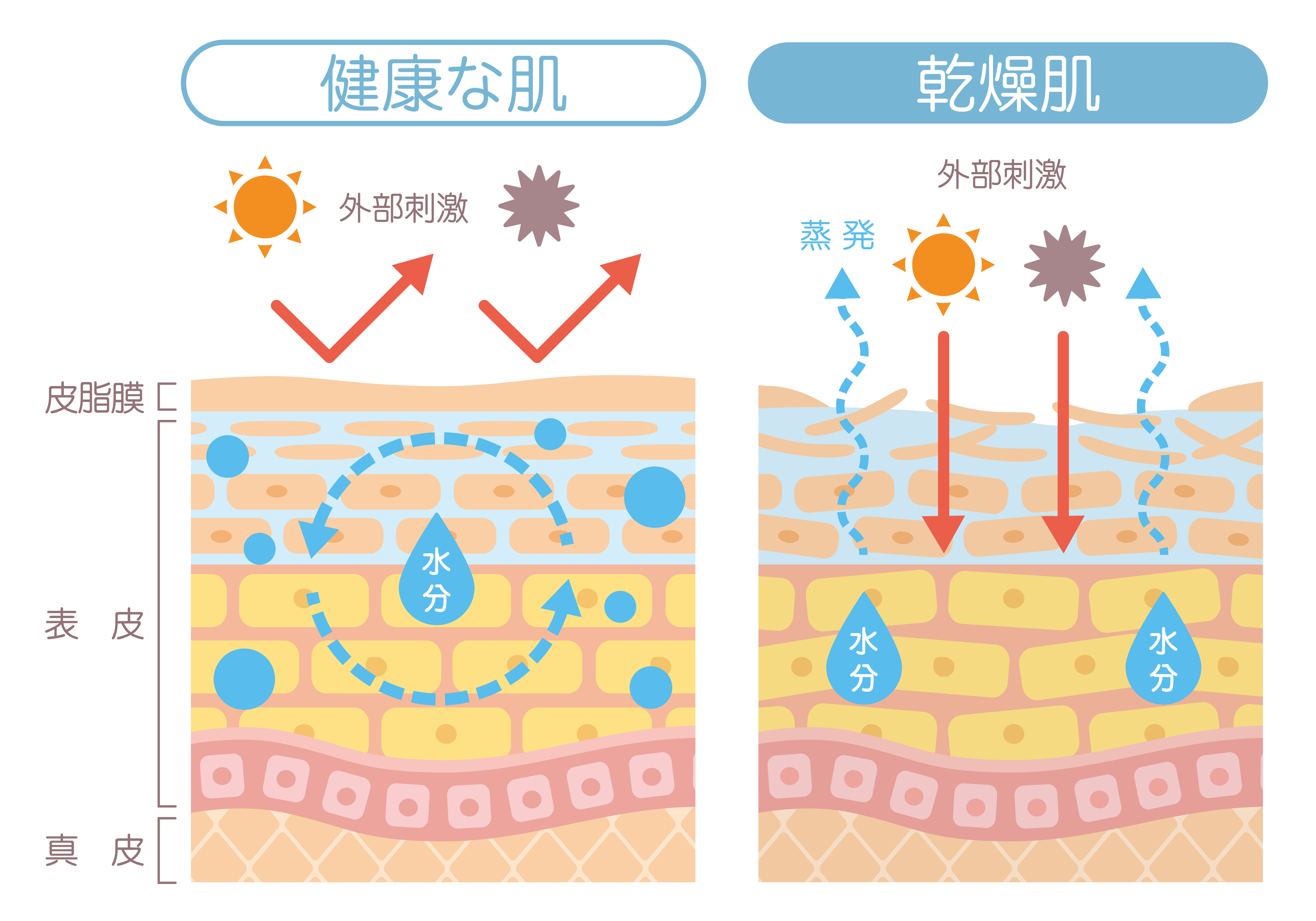 乾燥肌に効果あり！ジュビダームボライトXC